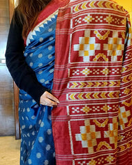 Person wearing a blue and red patterned saree with a wooden door in the background
